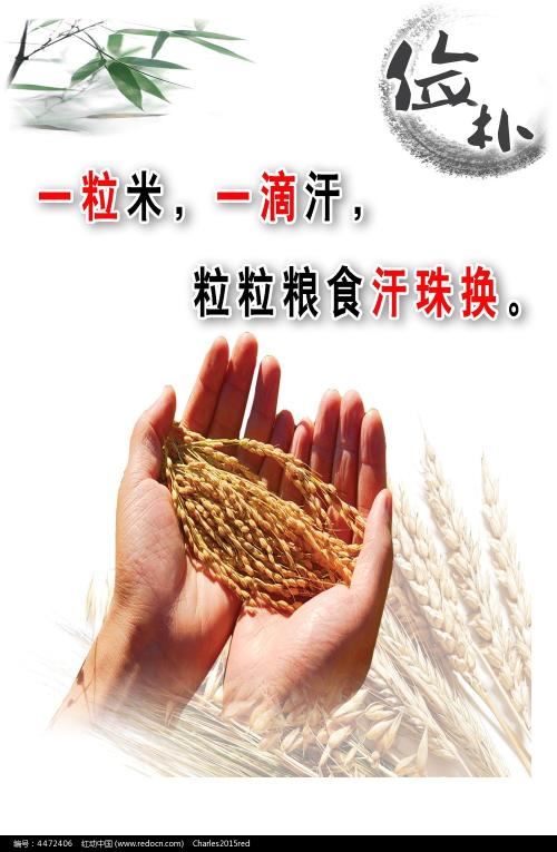 国际驾照在中国如何使用